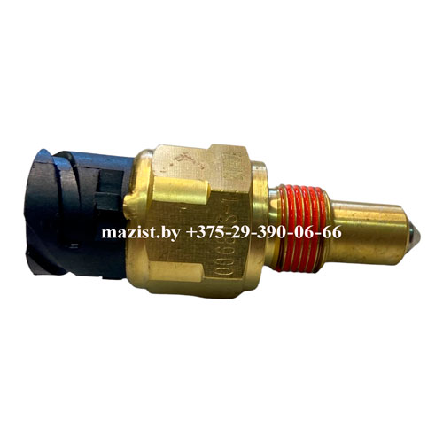 SSSRdagi maxfiy xususiy porno orgiyalar Amneziya erotik film